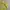 have a good time Minimalist Hoody Pria yellow photo 3