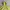 have a good time Minimalist Hoody Pria yellow photo 4