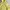 have a good time Minimalist Hoody Pria yellow photo 2