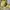 have a good time Minimalist Hoody Pria yellow photo 5