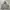 Thrasher Minimalist Hoody Pria gray photo 1