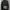 Elstinko Casual Sweatshirt Pria Gray
