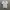 Uniqlo Casual Formal shirt Pria white blue photo 1