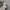 Polo Ralph Lauren Sportswear Casual Hat Pria cream photo 1