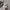 Polo Ralph Lauren Sportswear Casual Hat Pria Cream