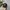 Adidas Sportswear Casual Hat Pria black photo 1