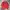 Tommy Hilfiger Vintage T-shirt Pria red photo 2