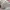 New Era Vintage Streetwear Hat Pria black cream photo 2