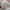 New Era Vintage Streetwear Hat Pria Black Cream