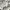 Le Coq Sportif Vintage T-shirt Pria white photo 4