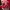 Adidas Sportswear Futurist Accessory Kids white red photo 1
