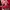 Adidas Sportswear Futurist Accessory Kids White Red
