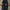 Japanese brand Casual Parka Pria black photo 1