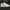 Nike Casual Sneakers Pria white photo 2