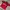Umbro Skater Casual Jersey Pria red photo 3