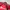 Umbro Skater Casual Jersey Pria red photo 2