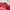 Umbro Skater Casual Jersey Pria Red