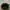 Y2K Pria green photo 1