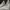 Nike Biker Casual Boots Pria white gray photo 5