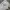 Vintage Y2K Sweatshirt Pria gray photo 1