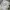 Vintage Y2K Sweatshirt Pria gray photo 2