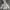 K-Swiss Sportswear Casual Hoody Pria white photo 1