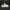 Alexander McQueen Casual Sneakers Wanita white black photo 2