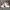 Gucci Casual Sneakers Pria multicolor white photo 3