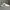 Nike Casual Casual shoe Pria white black photo 4