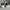 Nike Casual Casual shoe Pria white black photo 5