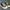Converse Casual Knee high boots Wanita white black photo 2