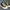 Converse Casual Knee High Boots Wanita White Black