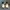 Converse Casual Knee high boots Wanita white black photo 5