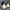 Converse Casual Knee high boots Wanita white black photo 4