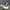 Converse Casual Knee high boots Wanita white black photo 3