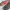 Christian Louboutin Casual Loafer Pria black photo 5