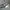 Puma Sportswear Casual Sneakers Pria white gray photo 1