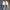 Clarks Casual Casual shoe Pria cream photo 5