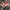 Adidas Gorpcore Casual Sneakers Wanita white red photo 3