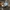 Adidas Streetwear Casual Sneakers Wanita white blue photo 3