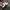 Adidas Cosplay Casual Sneakers Wanita white black photo 3