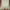 8seconds Vintage Casual Cardigan Wanita green photo 1