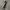Reebok Avant Garde Short Pria white black photo 1