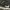 Nike Sportswear Casual Sneakers Pria white black photo 5