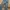 Wrangler Biker Jeans Pria gray photo 2