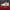 Adidas Sportswear Casual Sneakers Pria gold white photo 3