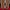 New Balance Sportswear Casual Sneakers Pria red black photo 4