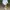 Cider Minimalist Midi dress Wanita white photo 2