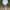 Cider Minimalist Midi Dress Wanita White
