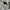 Cider Minimalist Midi dress Wanita white photo 3